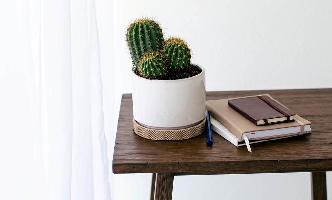 Decorative image of side-table with a cactus and 3 notebooks - 9 Reasons for Outsourcing in Your Author Business
