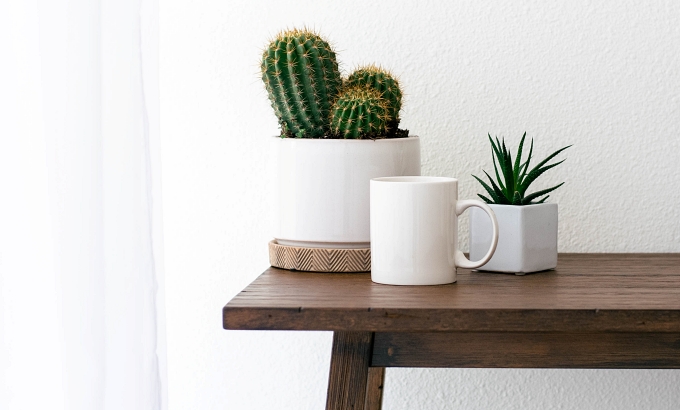 Decorative image of side-table with cacti and a white mug - 9 Reasons for Outsourcing in Your Author Business